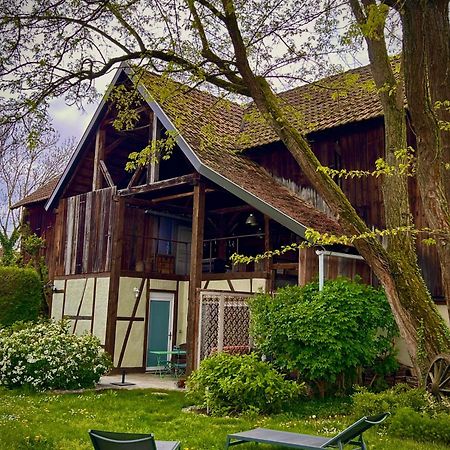 Le Sechoir Du Ried Apartman Rossfeld Kültér fotó