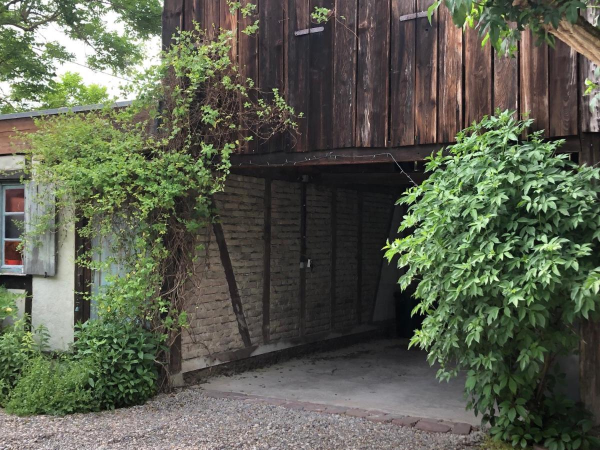 Le Sechoir Du Ried Apartman Rossfeld Kültér fotó