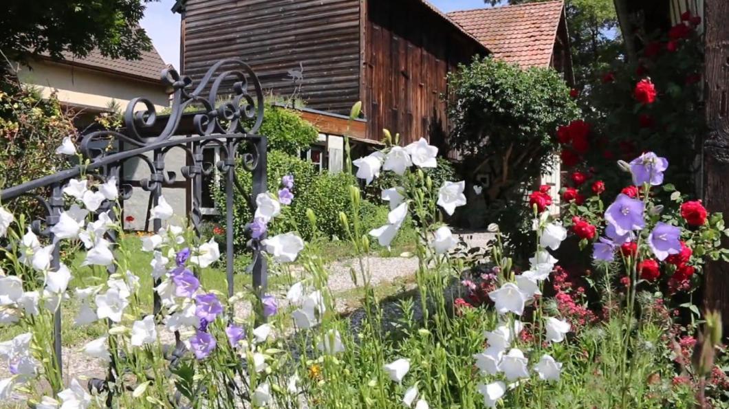Le Sechoir Du Ried Apartman Rossfeld Kültér fotó