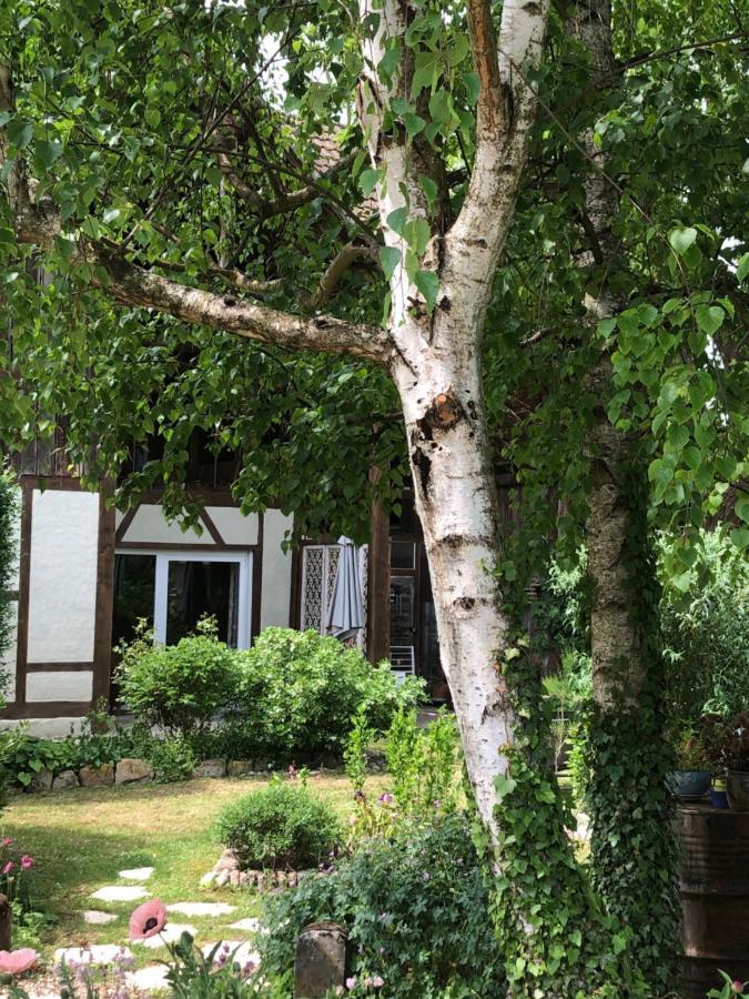 Le Sechoir Du Ried Apartman Rossfeld Kültér fotó